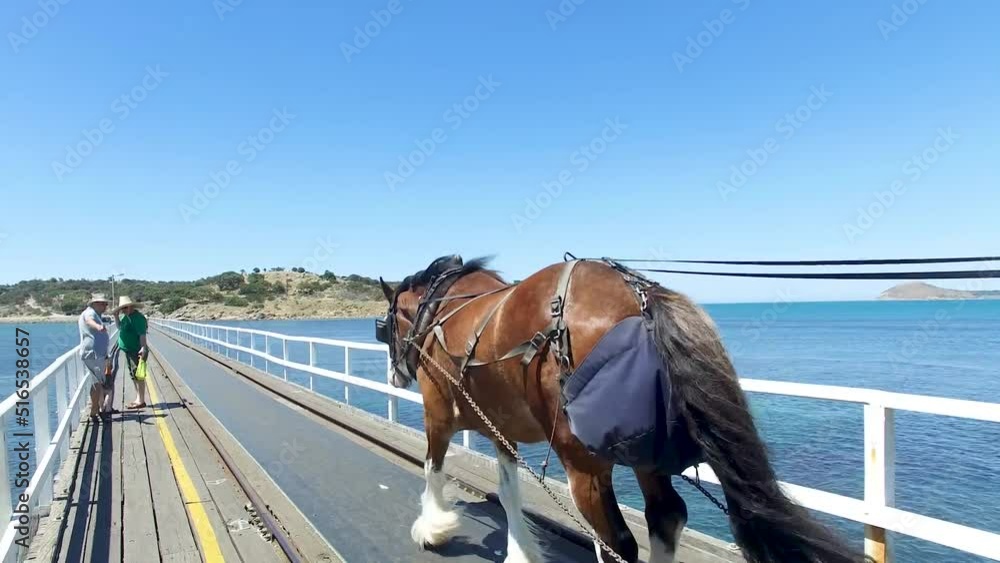 A horse drawn carriage full of tourists passes along the original Granite Island causeway at Victor Harbor, South Australia