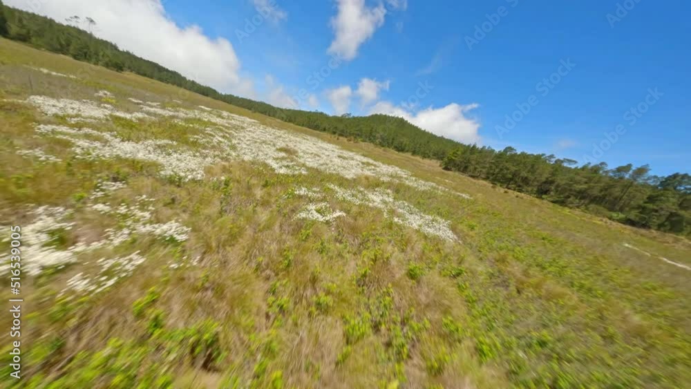 Aerial fpv drone acrobatic flight over landscape of National Park of Valle Nuevo in Dominican Republic Aerial fpv drone acrobatic flight over landscape of National Park of Valle Nuevo in Dominican Republic