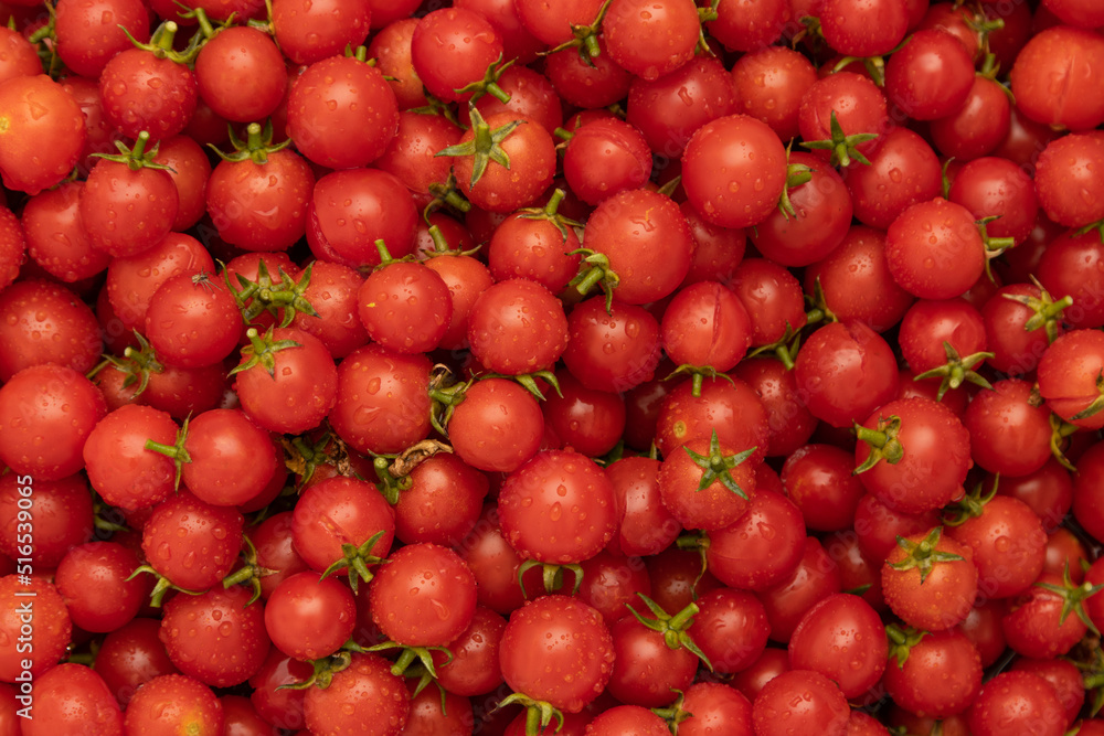 fresh cherry tomatoes as background fresh cherry tomatoes as background