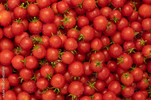 fresh cherry tomatoes as background © studybos