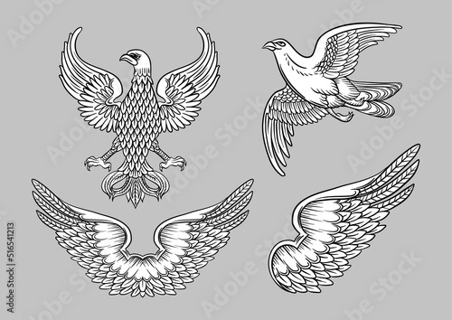 Eagle, falcon, bird, wing, double wings. Traditional character styles for coats of arms and shields. Clip art, set of elements for design Vector illustration.