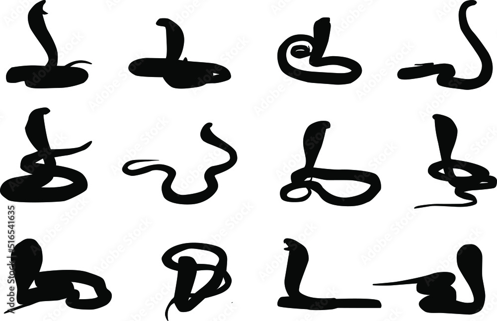 Vector snake icons on isolated white background Vector snake icons on isolated white background
