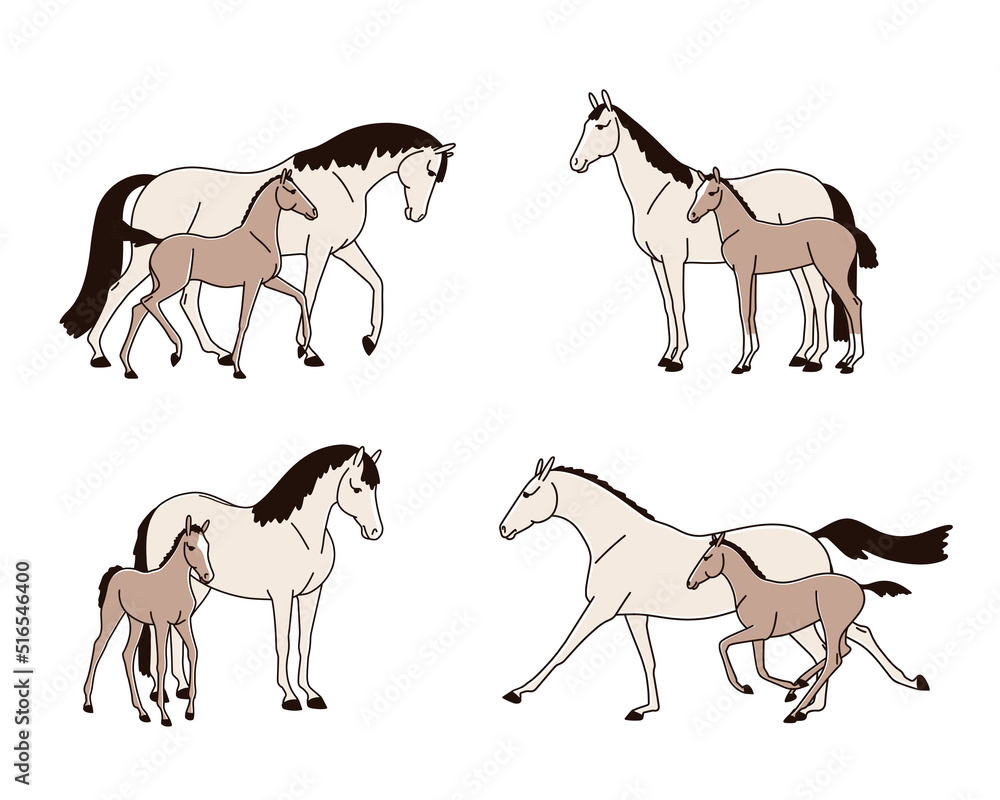 Set of mares with foals, all picture can be edited individually Set of mares with foals, all picture can be edited individually