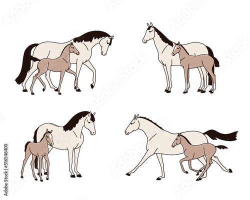 Set of mares with foals  all picture can be edited individually