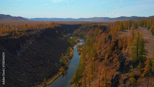 Aerial dolly of canyon and river among pine trees in sunny daytime in mongolia photo