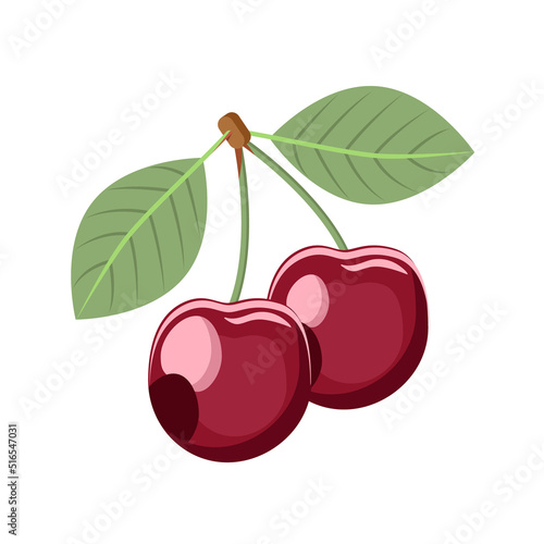 Ripe juicy cherry berry isolated on a white background.Vector berry can be used for labels of jams, juices, ice cream, textiles, postcards.