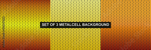Set of 3 gold metal cell background . Net background.
