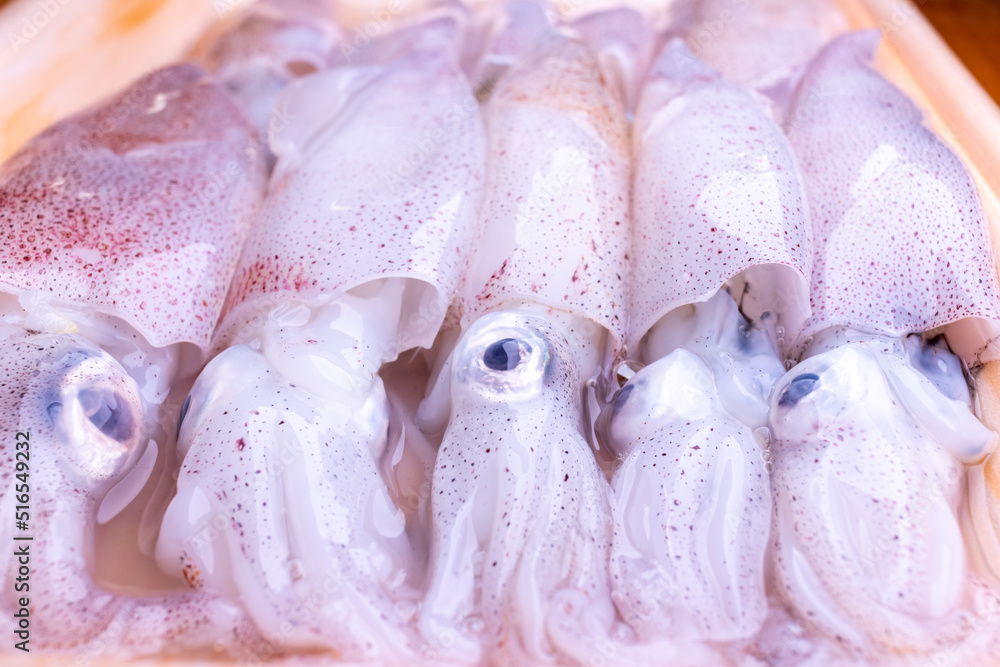 発泡トレイの上の日本の生のイカ StockFoto Adobe Stock