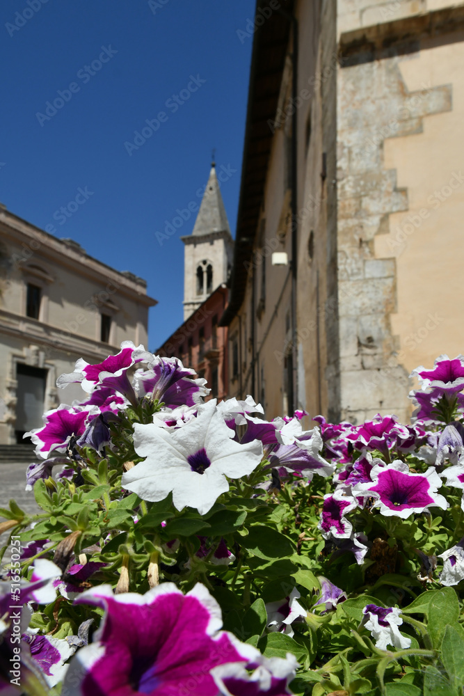 A vase of flowers in a square in Sulmona, an Italian village in the Abruzzo region.