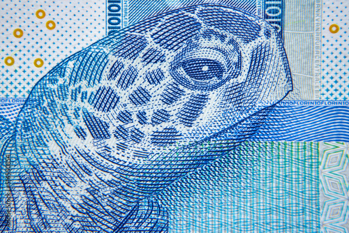 10 florenów arubańskich ,banknot w przybliżeniu ,10 Arubian florins, approximate banknote