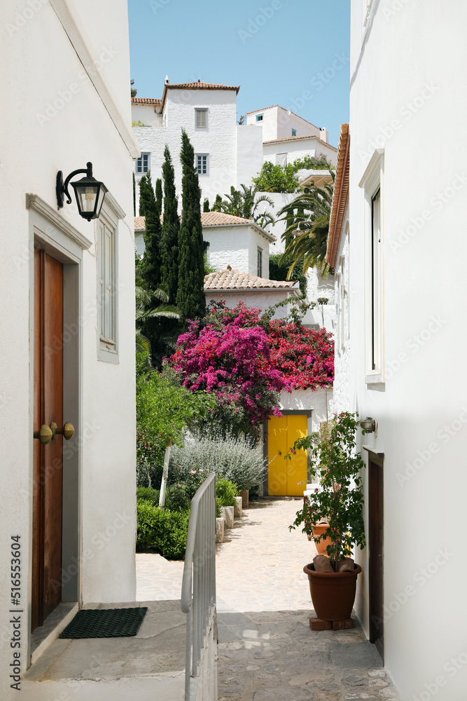 Fototapeta premium City street with beautiful buildings and blooming plants on sunny day