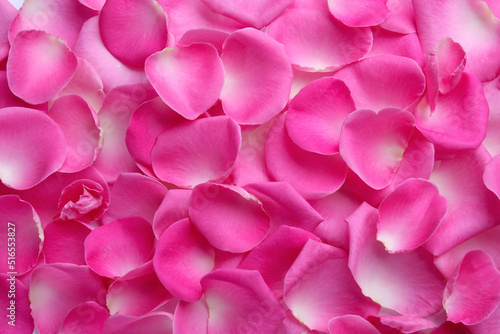 Closeup of many pink rose petals as background  top view