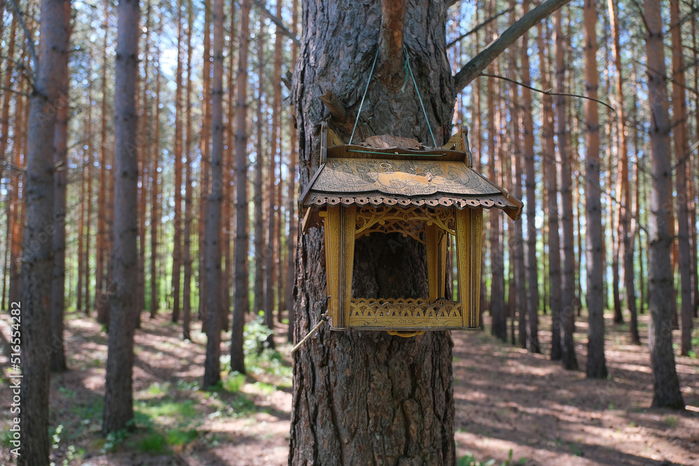 birdhouse in a beautiful pine forest birdhouse in a beautiful pine forest