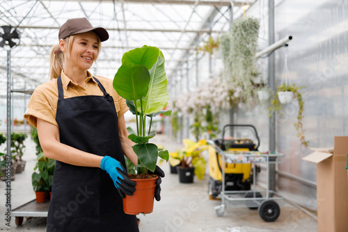 Happy mature woman garden center worker with green potted plant