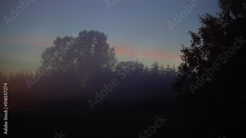 Fuzzy evening at Muritz National Park Kargow Germany timelapse photo