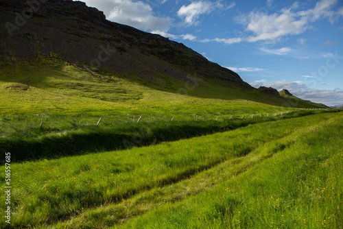 Picturesque landscape with green nature in Iceland during summer. Image with a very quiet and innocent nature. 