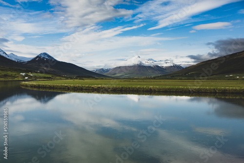 Picturesque landscape with green nature in Iceland during summer. Image with a very quiet and innocent nature. 