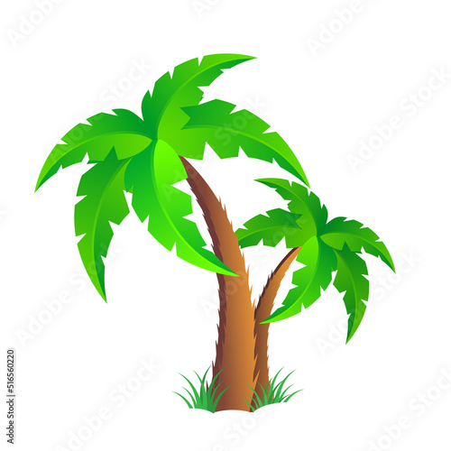 Palm trees isolated on white background. Beautiful vector palm tree set vector illustration.