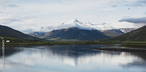 Picturesque landscape with green nature in Iceland during summer. Image with a very quiet and innocent nature.  © romeof