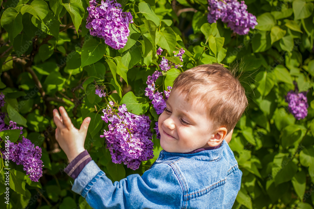 A boy poses near a lush lilac. Portrait of children with an interesting facial expression. Interactions. Selective focus. A boy poses near a lush lilac. Portrait of children with an interesting facial expression. Interactions. Selective focus.
