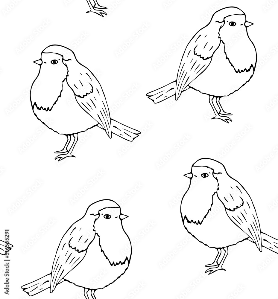 Obraz premium Vector seamless pattern of hand drawn doodle sketch robin redbreast bird isolated on white background
