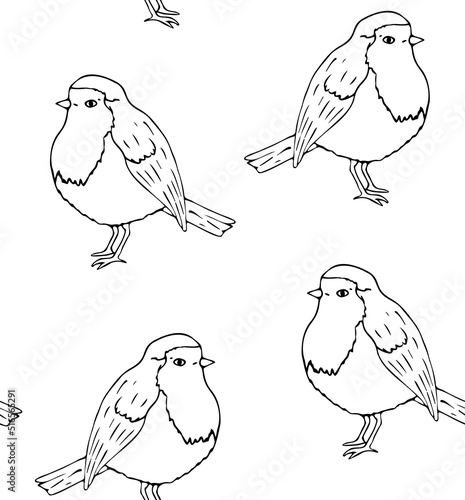 Fotografie, Obraz Vector seamless pattern of hand drawn doodle sketch robin redbreast bird isolate