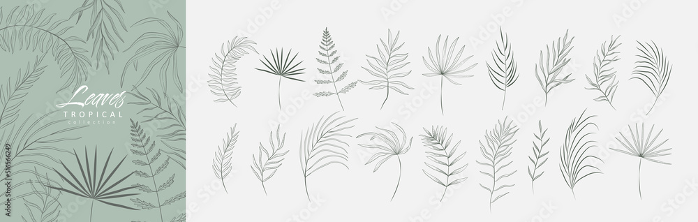 Floral tropical branch of palm in silhouette and line style. Hand drawn elegant exotic leaves for invitation save the date card design. Botanical trendy greenery Floral tropical branch of palm in silhouette and line style. Hand drawn elegant exotic leaves for invitation save the date card design. Botanical trendy greenery