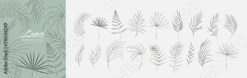 Floral tropical branch of palm in silhouette and line style. Hand drawn elegant exotic leaves for invitation save the date card design. Botanical trendy greenery