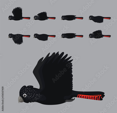 Red-Tailed Black Cockatoo Flying Animation Sequence Cartoon Vector