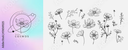 Fototapeta Naklejka Na Ścianę i Meble -  Set of luxury flowers and logo. Trendy botanical elements. Hand drawn line leaves branches and blooming. Wedding elegant wildflowers for invitation save the date card. Vector