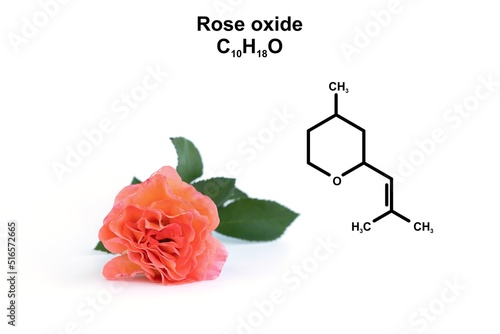 Structural formula of rose oxide and an orange rose.