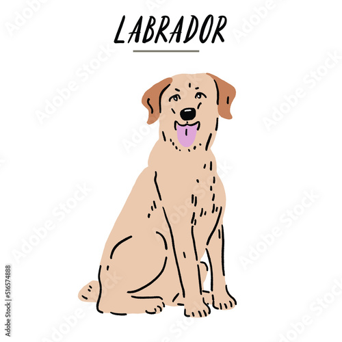 Labrador Dog breed Hand drawn Color Illustration