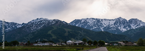 初夏の白馬山麓 © KIYOSHI KASHIWANO