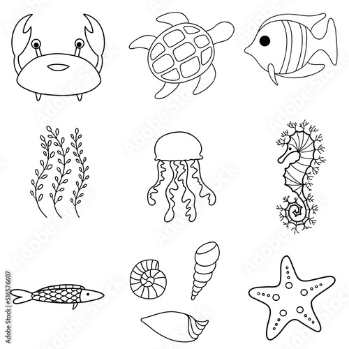 Sea or ocean fish, underwater aquatic animal. Vector outline illustration set. Cartoon cute starfish, seaweed, jellyfish, crab, turtle, sea horse, shells, fishes.