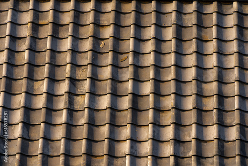 夕陽に染まる屋根瓦の背景素材