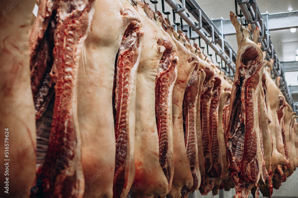 Raw pork meat hanging at the freezer