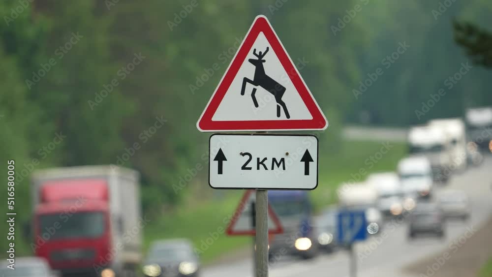 road sign CAUTION DEER on the highway. road safety. fines. people's lives. 4k footage road sign CAUTION DEER on the highway. road safety. fines. people's lives. 4k footage