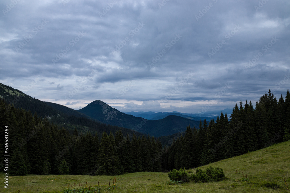 mountains of clouds, you are a spruce forest mountains of clouds, you are a spruce forest