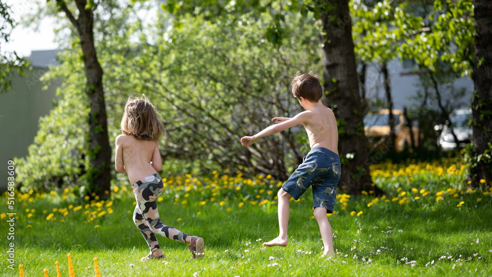 Fototapeta premium summer in the garden