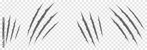 Vector scratches from the claws of the animal PNG. Scratches on an isolated transparent background. Gray scratches PNG. Animal claws.