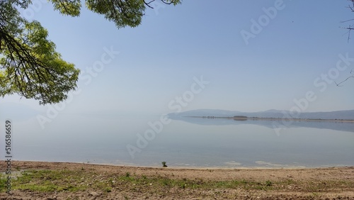 Lake, nature and tree view.