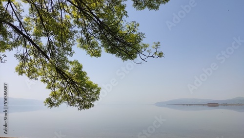 Lake, nature and tree view.