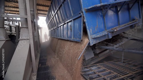 Panorama of unloading grain trucks at elevator on elevating hydraulic platform unloader. Grain crops transshipment at big sea terminal at seaport. Fast logictics concept. photo