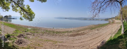 Lake, nature and tree view.