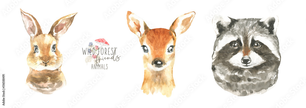 Obraz premium Watercolor woodland boho animal set of forest isolated cute bunny,deer,racoon illustration.Baby animals with flower frame and color splashes. Nursery animal portrait for baby shower, greeting 