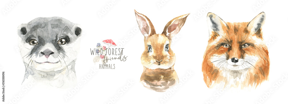 Watercolor woodland boho animal set of forest isolated cute otter,bunny,fox illustration.Baby animals with flower frame and color splashes. Nursery animal portrait for baby shower, greeting
