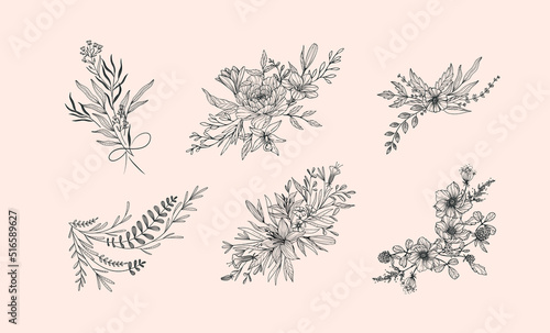 Set of floral compositions. Botanical arrangement of leaves branches and blooming flowers. Vector ornamental herbs in boutonniere and bouquet. Wedding design