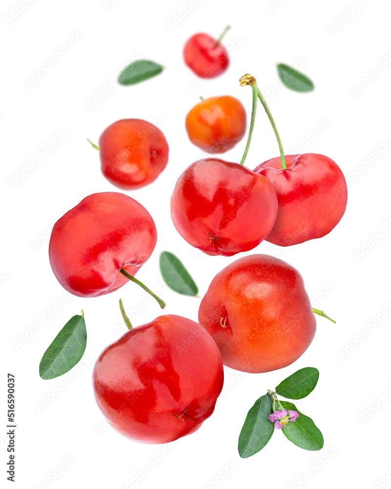 Acerola cherry with green leaves flying in the air isolated on white background. Acerola cherry with green leaves flying in the air isolated on white background.