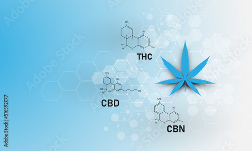 molecular structure medical chemistry formula cannabis of the formula CBD,vector illustration.
