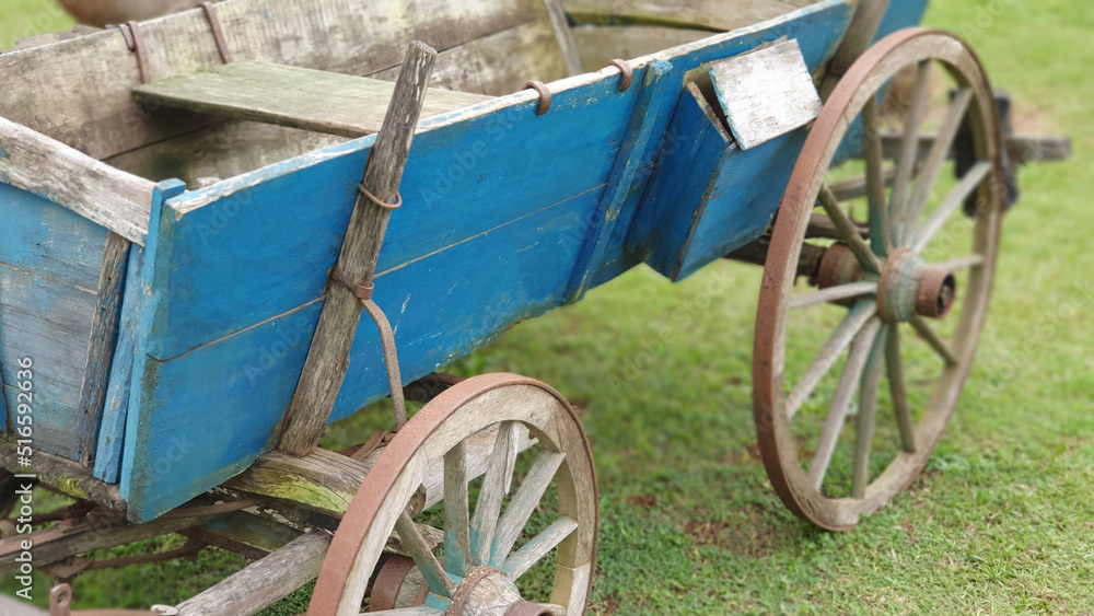 Old wagon in the field.